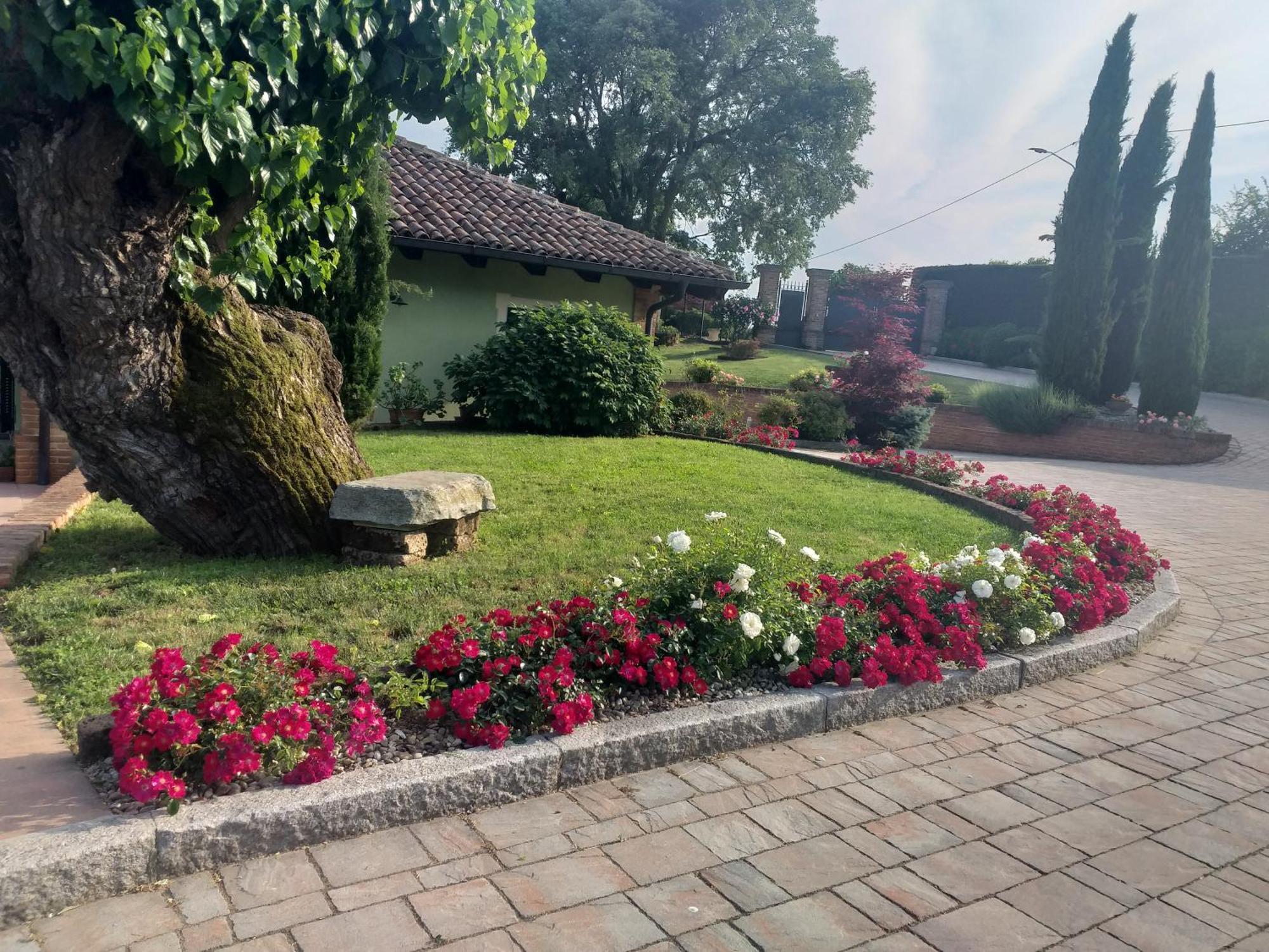 B&B La Bianchina Monale Eksteriør billede